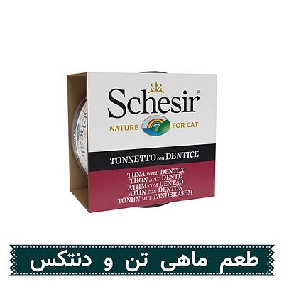 کنسرو،شسیر،گربه،تن،دنتکس
