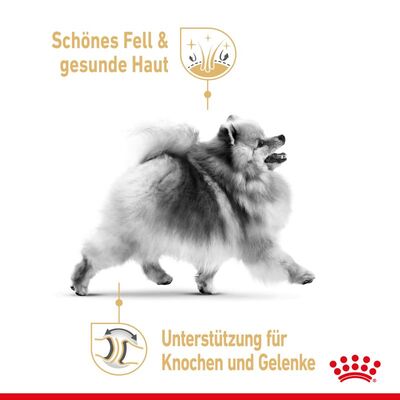 غذای خشک سگ رویال کنین مدل پامرانین Pomeranian وزن 1.5 کیلوگرم