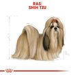 غذای خشک سگ رویال کنین مدل شیتزو Shih Tzu Adult وزن 1.5 کیلوگرم