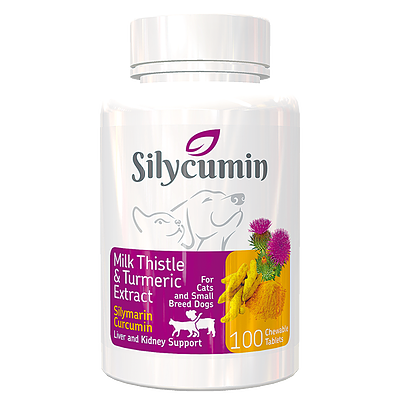 مکمل تقویتی کبد و کلیه سگ و گربه Bio PetActive مدل سیلیکیومین Silycumin